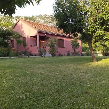 Apartman Donji Kraj Daire Cetinje Dış mekan fotoğraf