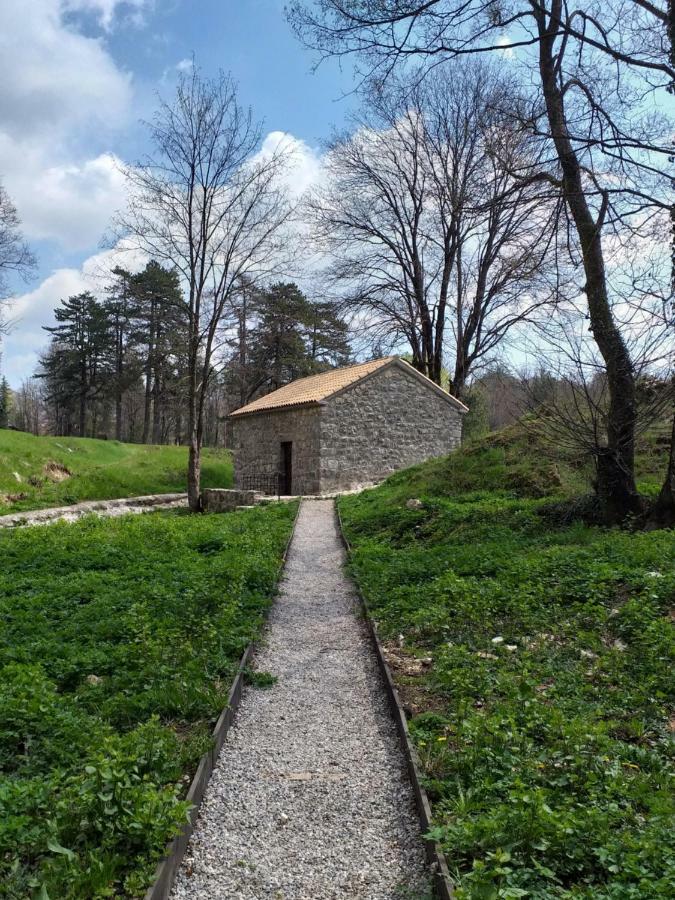 Apartman Donji Kraj Daire Cetinje Dış mekan fotoğraf