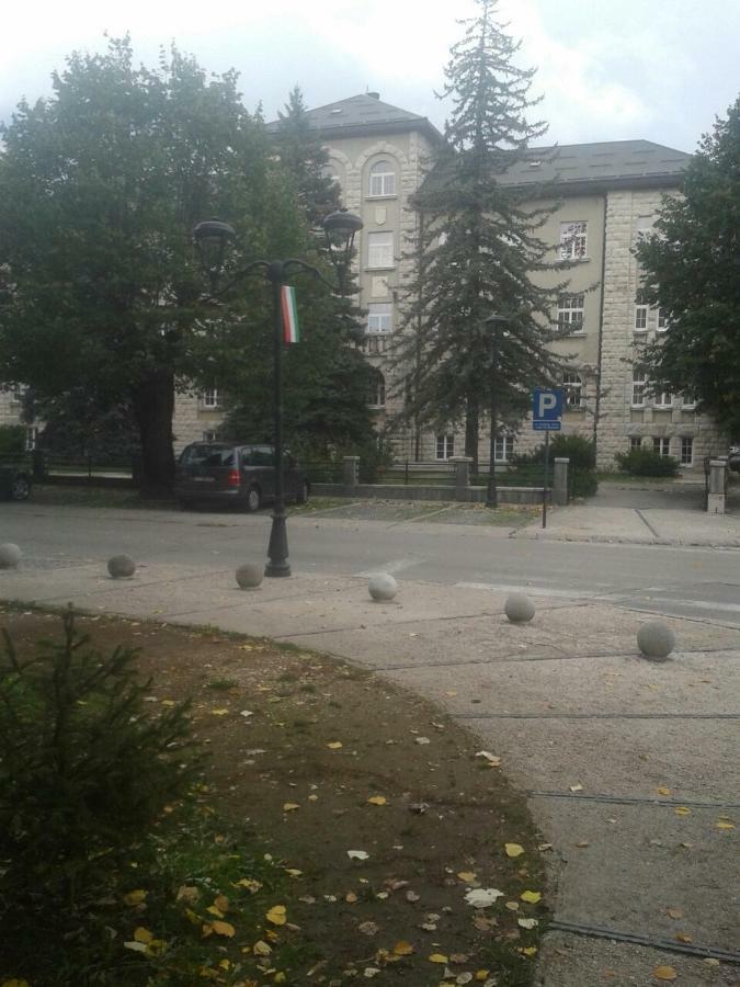 Apartman Donji Kraj Daire Cetinje Dış mekan fotoğraf