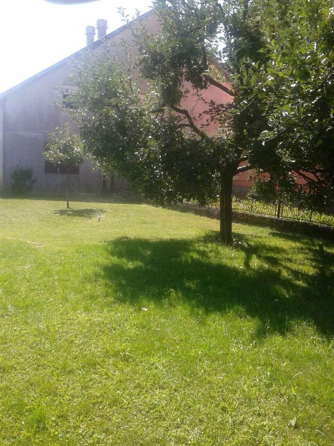 Apartman Donji Kraj Daire Cetinje Dış mekan fotoğraf